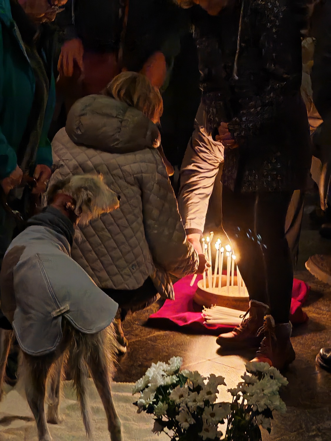 2025_11_16-WGF Tiertrauer 03 (c) Chr. Simonsen